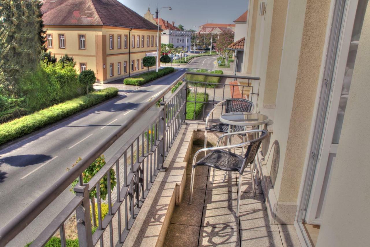 Penzion Tillerova Vila Lázně Bohdaneč Екстериор снимка